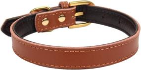 img 2 attached to 🐾 AOLove Basic Classic Padded Leather Pet Collars for Cats and Small to Medium Dogs (Brown, X-Small): Enhanced for Better Online Visibility