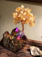 img 1 attached to Rose Quartz Crystal Bonsai Money Tree With Fluorite Base For Wealth And Luck review by Ashley Taylor