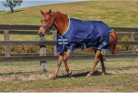 img 3 attached to Saxon 600D Standard Lite Sheet: Durable, Lightweight Horse Blanket for Maximum Comfort and Protection