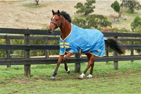 img 1 attached to Saxon 600D Standard Lite Sheet: Durable, Lightweight Horse Blanket for Maximum Comfort and Protection