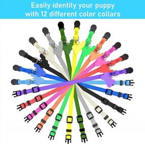 img 1 attached to 12-Pack GAMUDA Puppy Collars ID Tags - Super Soft, Adjustable & Breakaway - Plain And Identification W/ 2 Record Keeping Charts!