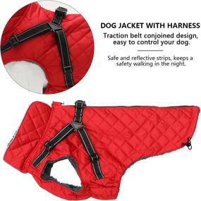 img 2 attached to Geyecete Winter Warm Dog Coat Jacket, Windproof Snowproof Waterproof with Super Warm Inner Fleece, Buckle and D-Ring (Red, XXL)