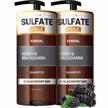 revive your dry damaged hair: kundal sulfate-free moisturizing shampoo enriched with argan oil & blackberry bay, pack of 2 bottles, 16.9 oz each, paraben-free logo