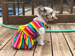 img 3 attached to 🌈 Stylish Fitwarm Rainbow Easter Dog Dresses for Medium-Sized Pets