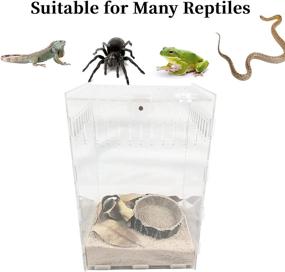 img 1 attached to Magnetic Terrarium Tarantulas Chameleons Transparent