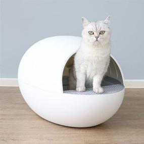 img 4 attached to 🐱 HONEY CARE Self-Cleaning Cat Litter Box - No Scooping, Dust-Free & Perfect for Multiple Cats