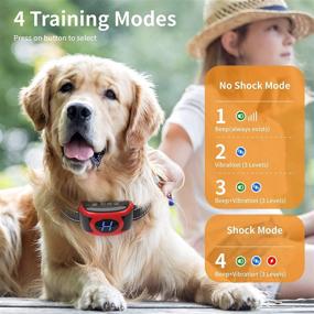 img 3 attached to 🐶 Rechargeable Dog Bark Collar, Brapezie Anti Barking Training Collar with Beep Vibration Shock for Small Medium Large Dogs - Effective & Waterproof