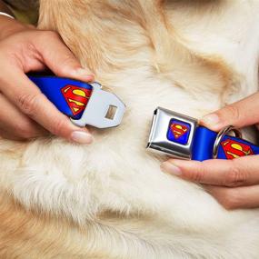 img 3 attached to Buckle-Down Superman Shield Blue Dog Collar with Seatbelt Buckle | Adjustable from 16 to 23 Inches | 1.5 Inch Wide