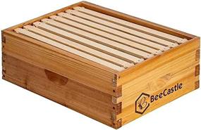 img 3 attached to Beekeeping Made Easy: Complete Starter Kit With Assembled Super Bee Boxes, Frames, And Beeswax Foundation Sheet