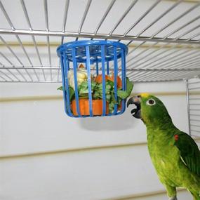 img 2 attached to 🐦 Bird Feeder Set: Hanging Food Basket for Parrots - Foraging Toys Hot for Budgies, Macaws & More - Black Headed Caique, Eclectus, Lovebird