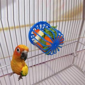 img 3 attached to 🐦 Bird Feeder Set: Hanging Food Basket for Parrots - Foraging Toys Hot for Budgies, Macaws & More - Black Headed Caique, Eclectus, Lovebird