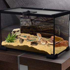 img 1 attached to Enhance Your Reptile's Habitat with Tfwadmx Bearded Dragon Basking Platform and Hideout Cave - Perfect for Turtles, Lizards, Geckos, Snakes, and More!