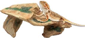 img 4 attached to Enhance Your Reptile's Habitat with Tfwadmx Bearded Dragon Basking Platform and Hideout Cave - Perfect for Turtles, Lizards, Geckos, Snakes, and More!