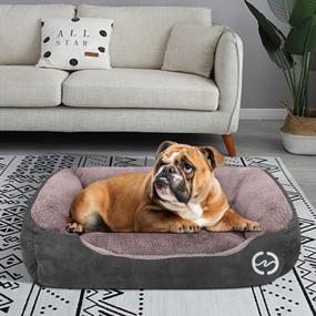 img 2 attached to PUPPBUDD Comfortable and Machine Washable Dog Bed for Large Dogs - Rectangle Dog Sofa with Nonskid Bottom Ideal for Medium and Multiple Large Dogs