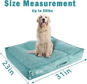 img 1 attached to 🐾 Comfortable and Calming CECELORIA Soft Dog Bed Mat: Washable, Fluffy Pet Bed for Small-Medium Dogs with Non-Slip Bottom - Perfect for All Seasons!