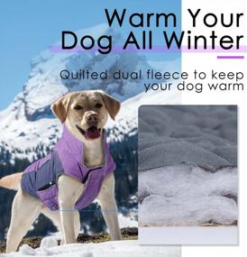 img 2 attached to Waterproof Windproof Reversible Winter Dog Jacket - ThinkPet Cold Weather Coats, Thick Padded Warm Coat Reflective Vest Clothes For Puppy Small Medium Large Dogs