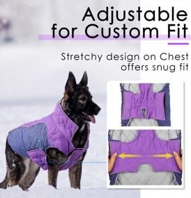 img 1 attached to Waterproof Windproof Reversible Winter Dog Jacket - ThinkPet Cold Weather Coats, Thick Padded Warm Coat Reflective Vest Clothes For Puppy Small Medium Large Dogs