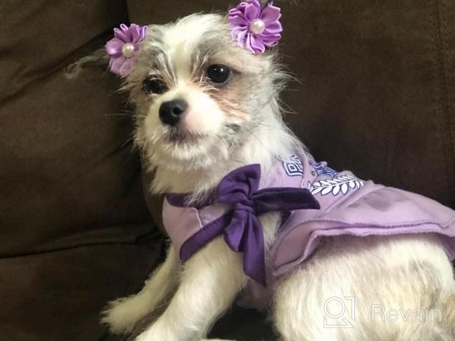 img 1 attached to 2 Pack Princess Bowtie Dog Dresses - Cute Sundresses For Small Dogs By KYEESE review by Dennis Brinson