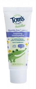 img 1 attached to 👶 Fluoride-Free Toothpaste for Toddlers by Tom's of Maine