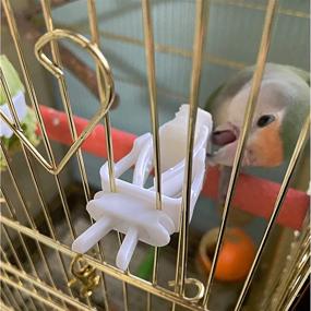 img 2 attached to 🐦 Mivofun 8pcs Bird Cage Food Holder Bracket, Parrot Fruit Vegitable Pet Feeder Clip Accessory for Budgie Parakeet Cockatoo Macaw Cockatiel Conure