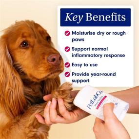 img 3 attached to 🐾 PetLab Co. Paw Balm for Dogs: Moisturize Dry Paws with Ease - All Ages Dog Paw Wax