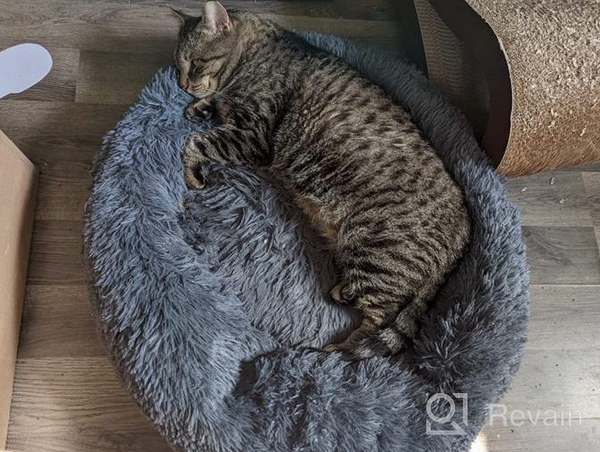 img 1 attached to Topmart Plush Calming Dog & Cat Bed - Washable Donut Cuddler For Anti Anxiety - 36" × 36", Beige review by Justin Cranford