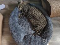 картинка 1 прикреплена к отзыву Topmart Plush Calming Dog & Cat Bed - Washable Donut Cuddler For Anti Anxiety - 36" × 36", Beige от Justin Cranford