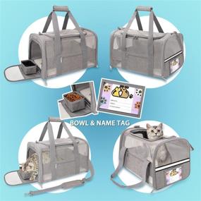 img 1 attached to 🐾 Sapine Airline Approved Pet Carrier with Bowl, Pet ID Card, Reflective Strip, Pet Travel Carrier Cat Carriers for Medium Small Cats Puppy Dog Soft-Sided Carriers for Small Dogs Portable Collapsible