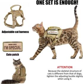 img 3 attached to 🐾 AIWAI Escape Proof Tactical Cat Harness for Walking, Adjustable Pet Vest Harness with Control Handle - Soft Mesh for Large Cats, Small Dogs. Bonus Gift with Patch Included