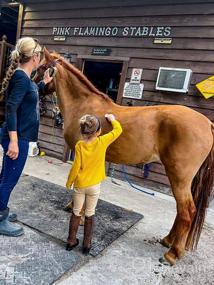 img 6 attached to Органический хлопковый комплект брюк и капри для девочек от Hope Henry Riding