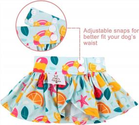 img 1 attached to Cute And Stylish 2-Pack Bikini Swimsuit For Small Female Dogs - Perfect For Summer Fun!