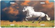 ambesonne horses license plate, andalusian horse with a majestic dust cloud background strong desires photo, high gloss aluminum novelty plate, 5.88" x 11.88", white orange green logo