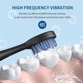 img 2 attached to 💡 Black Rechargeable Electronic Heads for BEBEN Toothbrush