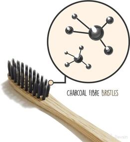 img 3 attached to 🪥 LiveCoco Activated Charcoal Bristle Toothbrush