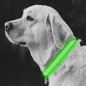 img 3 attached to Rechargeable LED Dog Collar With Ultra Bright, 2 Light Settings In Green (Large) - 4ID Lite Up