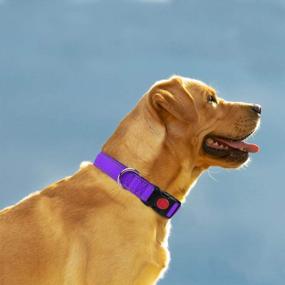 img 3 attached to Taglory Reflective Dog Collar With Safety Locking Buckle, Adjustable Nylon Pet Collars For Large Dogs,Violet