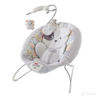🐶 fisher-price sweet snugapuppy deluxe bouncer with overhead mobile, music, calming vibrations - portable baby seat for bouncing logo