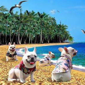 img 3 attached to 🐶 Coppthinktu 4 Pack Hawaiian Dog Shirts: Stylish Breathable Summer Sweatshirts for Small/Medium Dogs & Cats - Beach Pet Shirt Dog Polo T-Shirts with 4 Different Designs