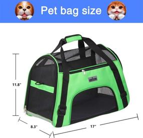 img 3 attached to Airline Approved Soft Pet Carrier: Travel Handbag for Cats and Small Dogs | Under Seat Compatibility | Breathable Design with 4-Windows