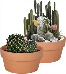 img 4 attached to 2 Pack 8 Inch Terracotta Shallow Succulent Pots - Large Terra Cotta Clay Planters With Drainage Hole For Indoor & Outdoor Use