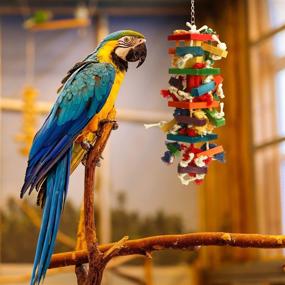 img 1 attached to 🦜 GATMAHE Wooden Block Chewing Toys for Small and Large Birds - Ideal for Climbing, Chewing, Unraveling, and Preening