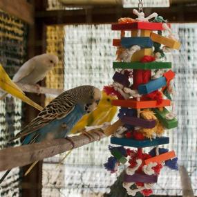 img 2 attached to 🦜 GATMAHE Wooden Block Chewing Toys for Small and Large Birds - Ideal for Climbing, Chewing, Unraveling, and Preening