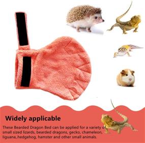 img 2 attached to Sleeping Hedgehog Handling Grooming Protection Small Animals