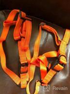 img 1 attached to CollarDirect Reflective Dog Harness Step In Small Medium Large For Outdoor Walking, Comfort Adjustable Harnesses For Dogs Puppy Pink Black Red Purple Mint Green Orange Blue (Medium, Mint Green) review by Chad Michels