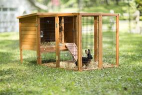 img 2 attached to Prevue Hendryx Rabbit Playpen 🐇 - Top Pet Product for Bunnies