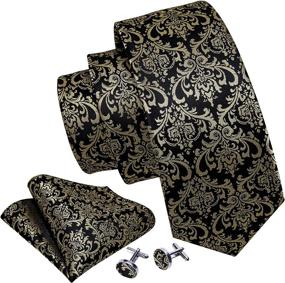 img 3 attached to Barry Wang Paisley Hanky Cufflinks Necktie Men's Accessories made as Ties, Cummerbunds & Pocket Squares