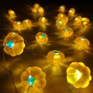 fall harvest 3d pumpkin string light, 10 feet 30 leds battery operated with remote control for thanksgiving welcome party front porch home decoration logo
