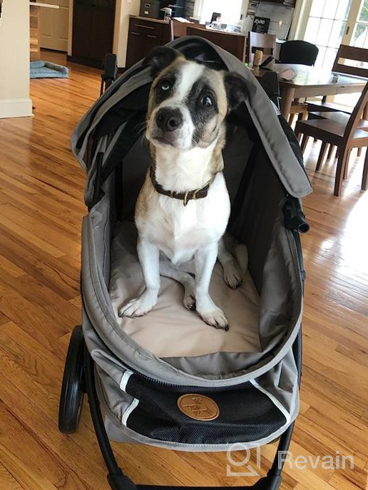 img 1 attached to Hauck Tog Fit Pet Roadster - Perfect For Traveling With Your Furry Friend! review by Jeff Wyble