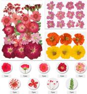 colorful pressed flowers & leaves for crafts - vignee 47 pcs real dried petals for jewelry making & diy accessories (style a) logo