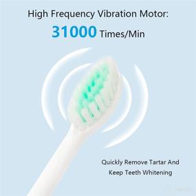 img 1 attached to Dffa Toothbrush Ultrasonic Toothbrushes Toothbrush，